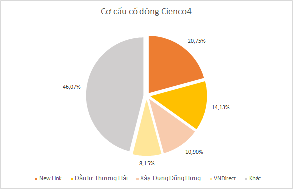 Cơ cấu cổ đông của CIENCO4