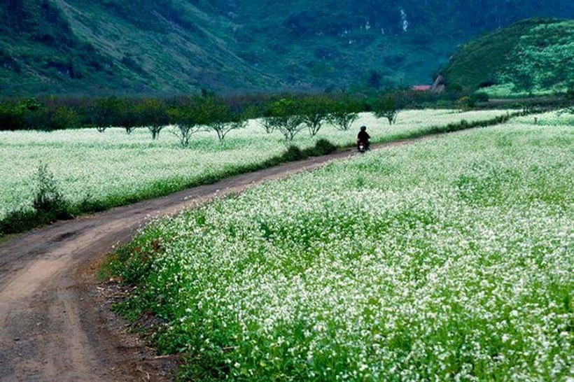 Du lịch Mộc Châu nhất định phải thử qua những món ăn đặc sắc này