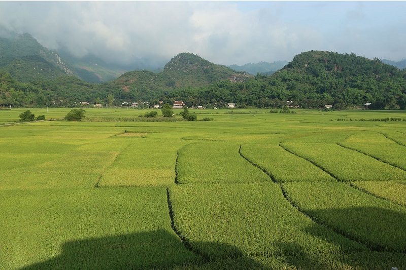 Đến Mai Châu vào mùa thu, bạn sẽ tận hưởng một bầu không khí mát mẻ hơn so với mùa hè