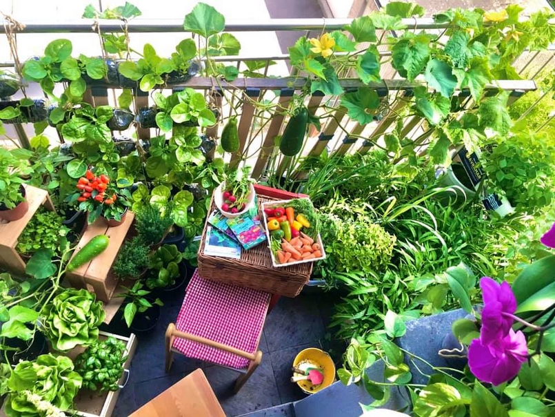Mẫu vườn rau đẹp tại nhà trên ban công